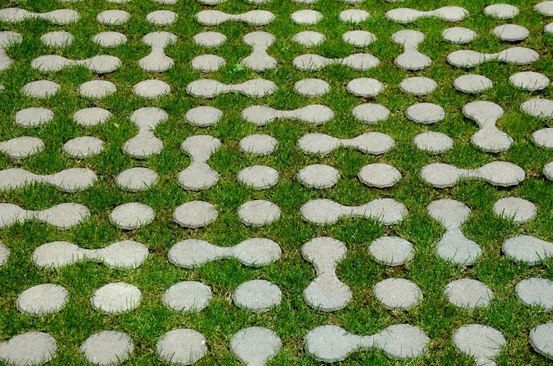 Eco-Conscious Options